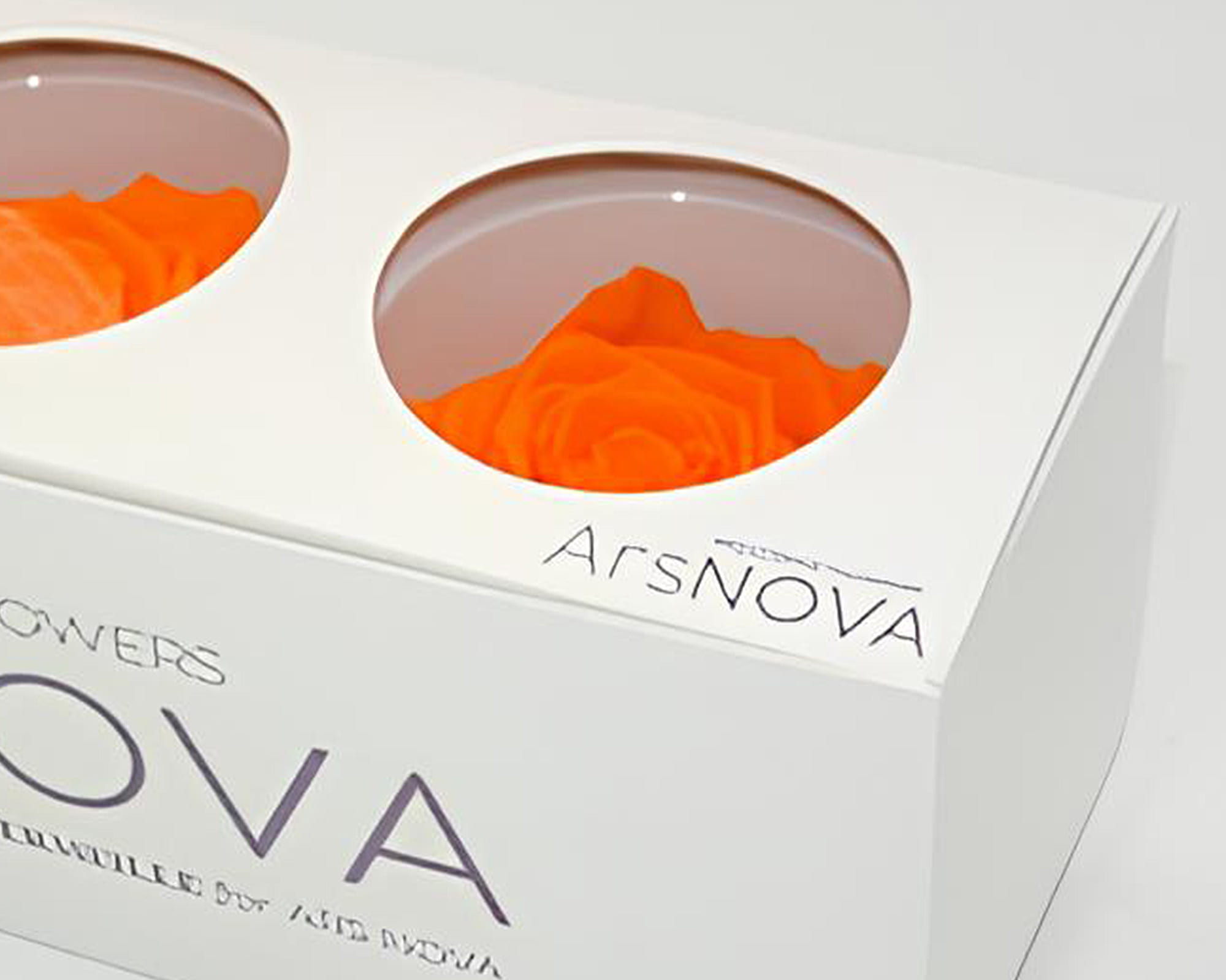 Set 3 Pz Rose Baccara Arancio D6cm - immagine 2