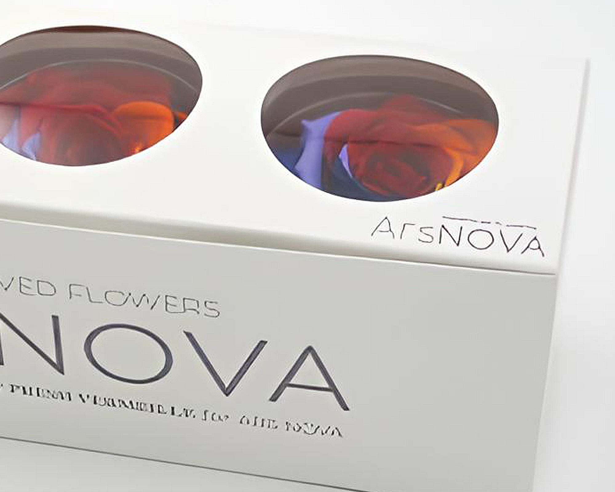 Set 3 Pz Rose Baccara Multicolor D6cm - immagine 2