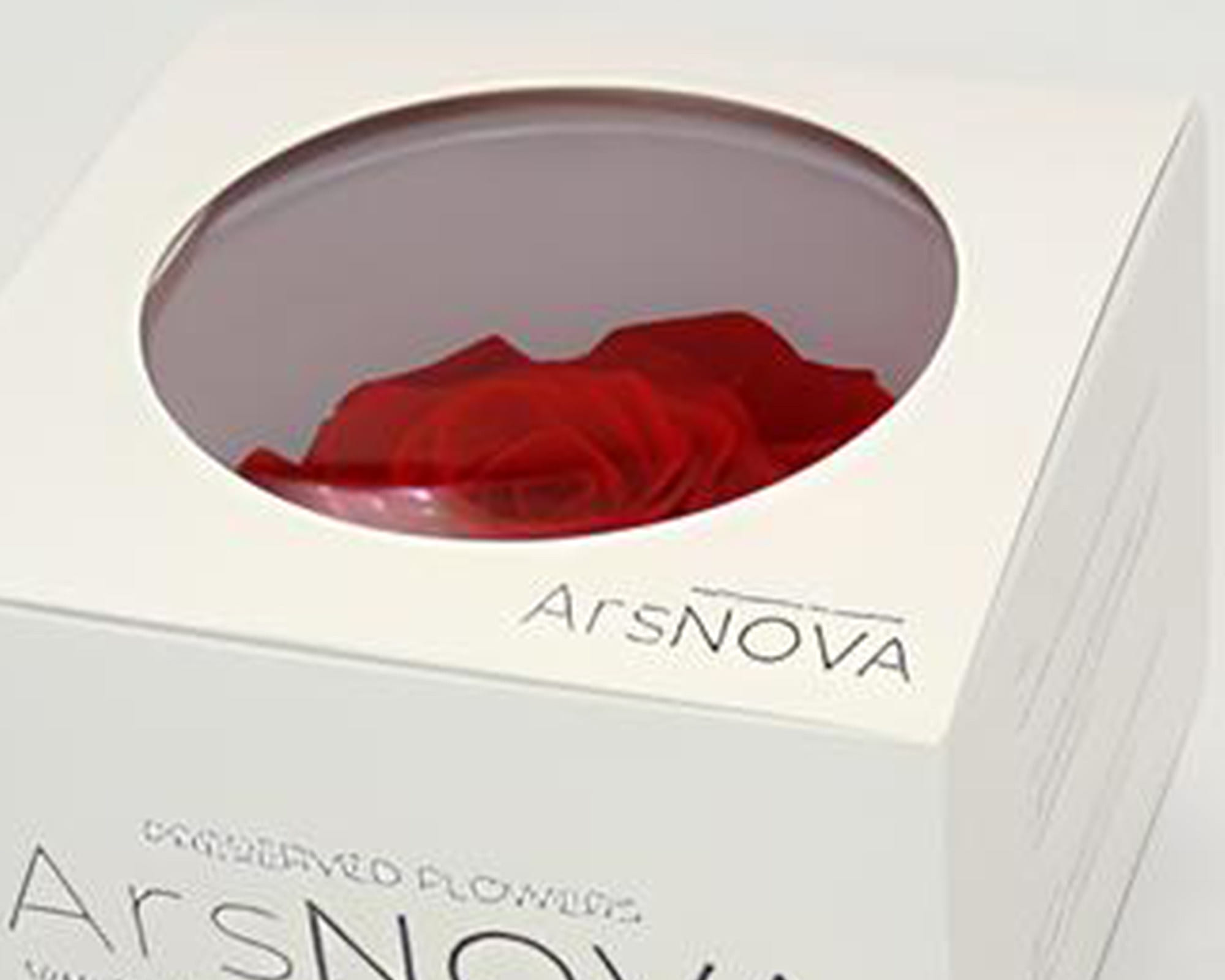 Rosa Grand Prix Fiore Rosso D10cm - immagine 2