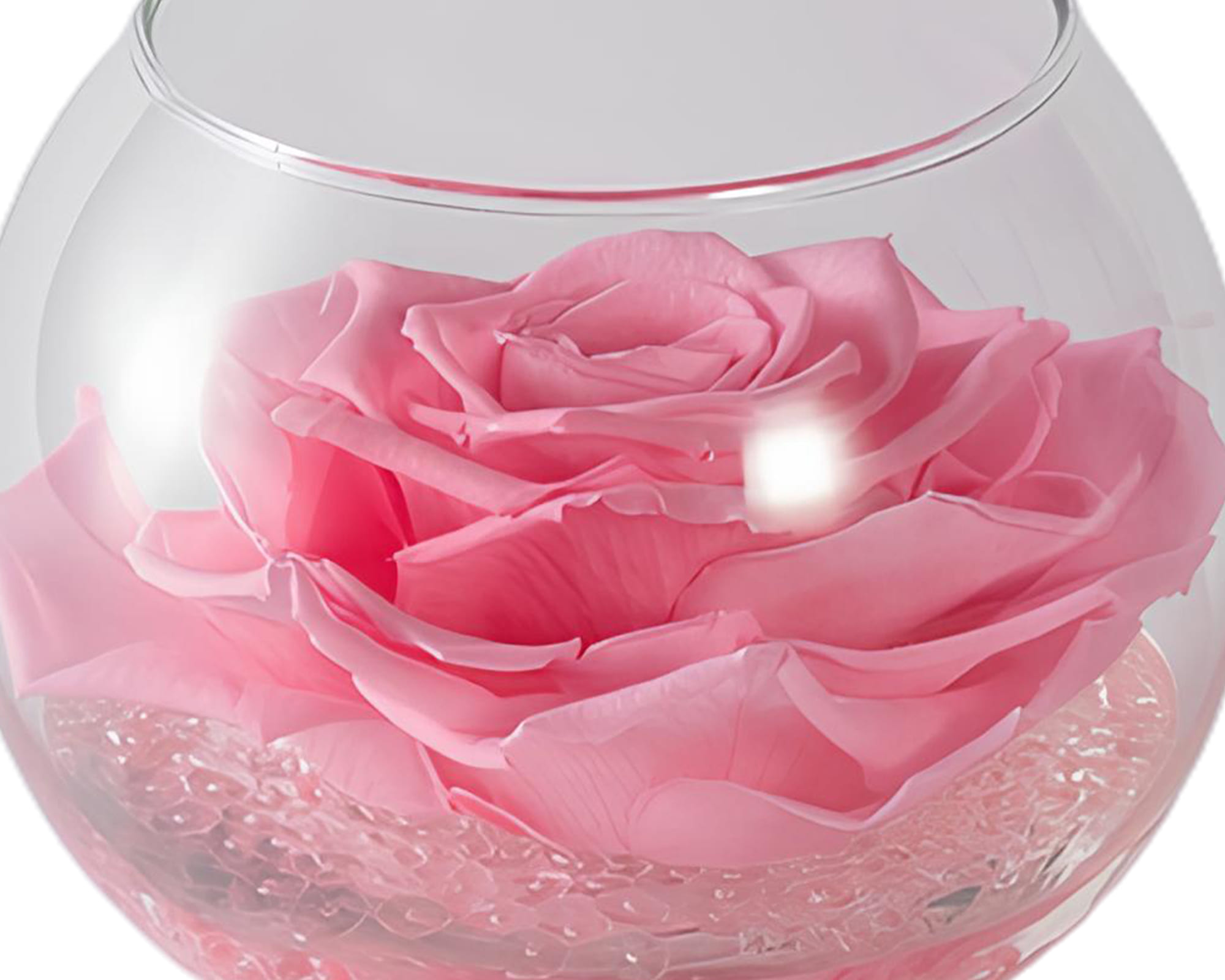 Boccia Rosa Grand Prix Profumate con Gocce e Packaging Rosa D12cm in Vetro - immagine 2