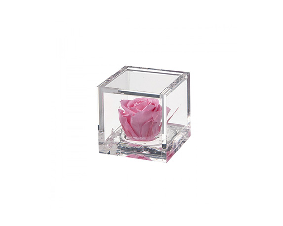 Miniflowercube Rosa Rosa