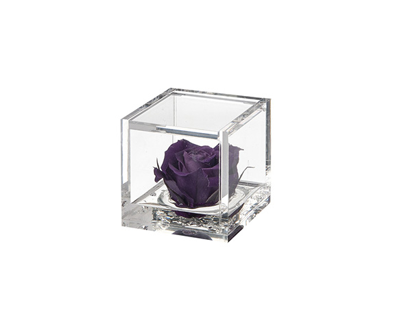 Flowercube Small Rosa Viola