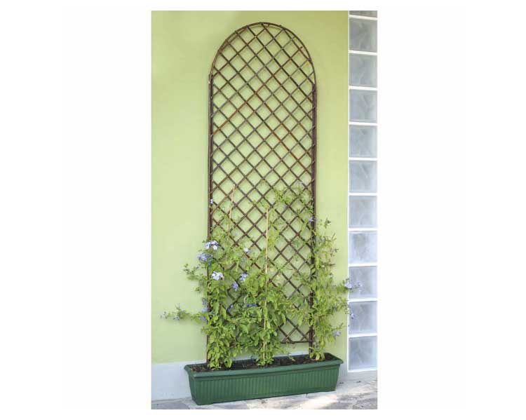 Traliccio ad Arco 120x60cm in Legno di Salice - immagine 2