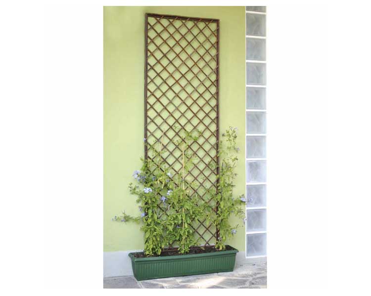 Traliccio Rettangolare 120x60cm in Legno di Salice - immagine 2