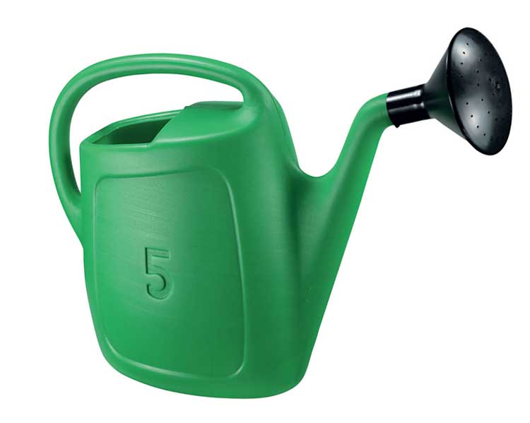 Annaffiatoio 5L Verde Professionale in Plastica