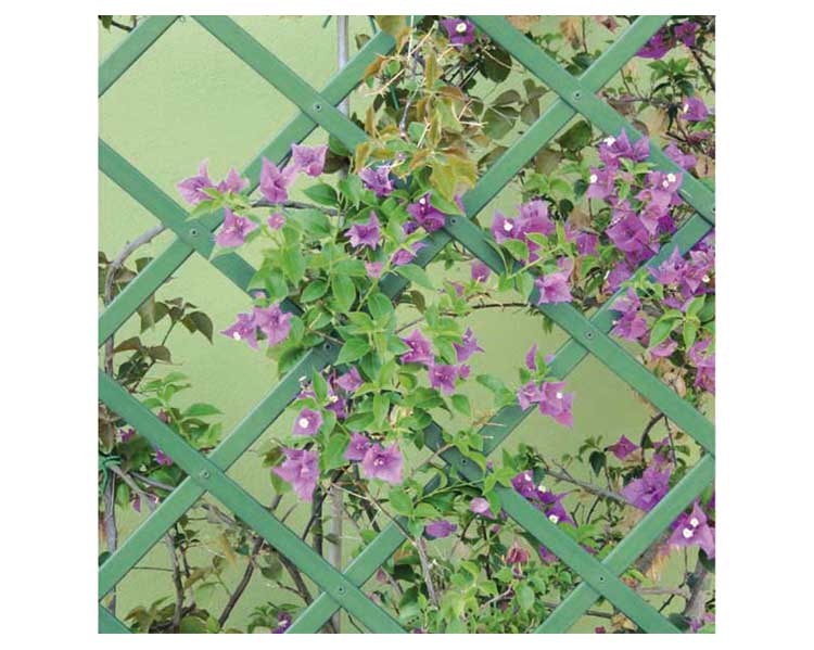 Traliccio Estendibile Verde 300x100 in PVC - immagine 3