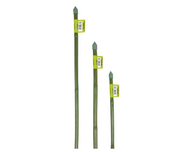 Canna Bamboo 60cm in Plastica