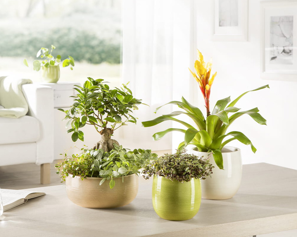 Coprivaso Intense Grey Allure D28cm in Ceramica - immagine 3