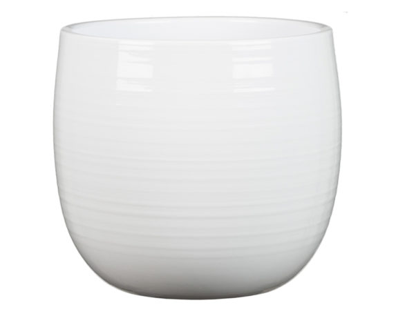 Coprivaso Intense Alaska D28cm in Ceramica