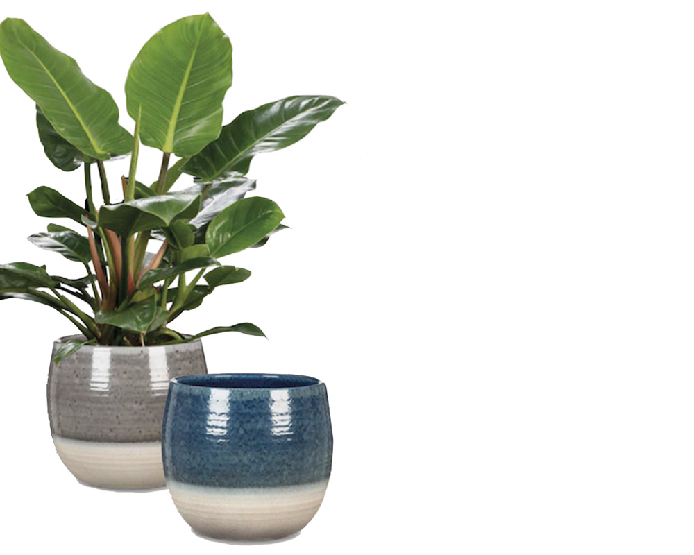 Coprivaso Intense Grey Allure D28cm in Ceramica - immagine 2