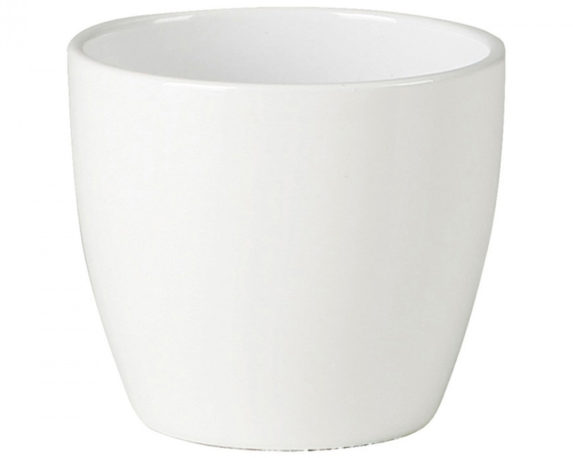 Coprivaso Indoor Alaska Bianco D33cm in Plastica