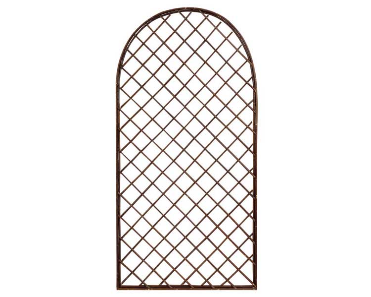 Traliccio ad Arco 120x60cm in Legno di Salice