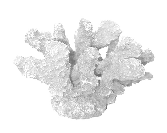 Scultura corallo bianco 13cm resina