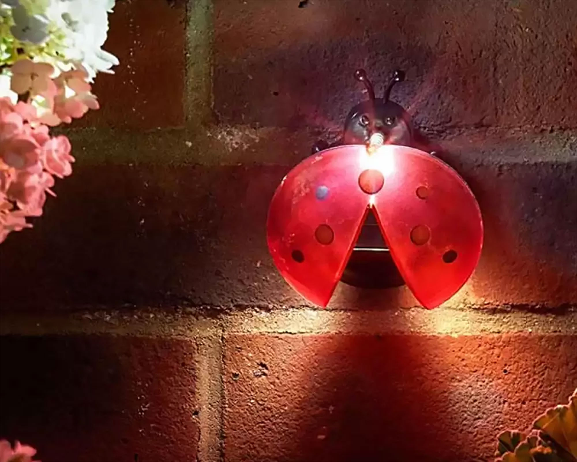 Coccinella LED ad energia solare - immagine 2