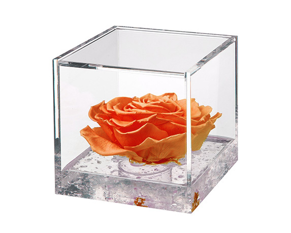 Flowercube Extra Large Rosa Arancio