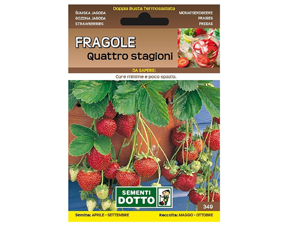 Semi fragola 4 stagioni