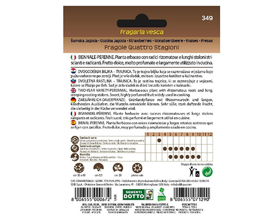 Semi fragola 4 stagioni - immagine 2