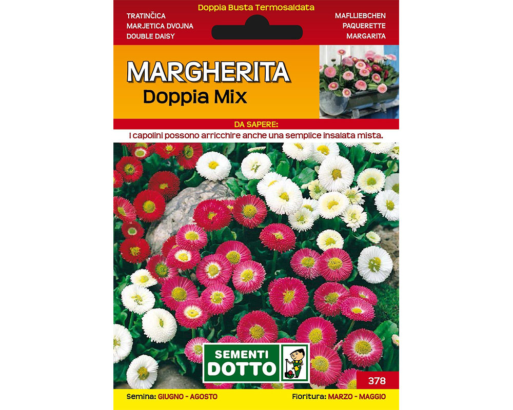 Margherita Doppia sementi dotto sementi da fiore bulbi e sementi giardinaggio fiori 1.jpg1 1