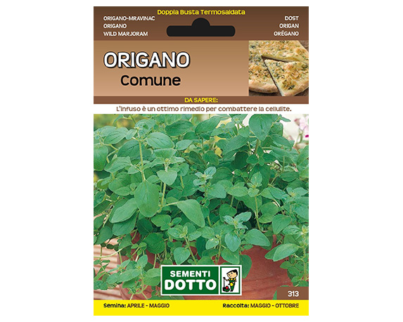 Semi origano comune