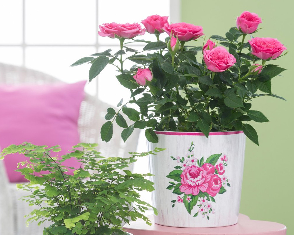 Coprivaso Grand Fleur Romantico D13cm in Ceramica - immagine 3