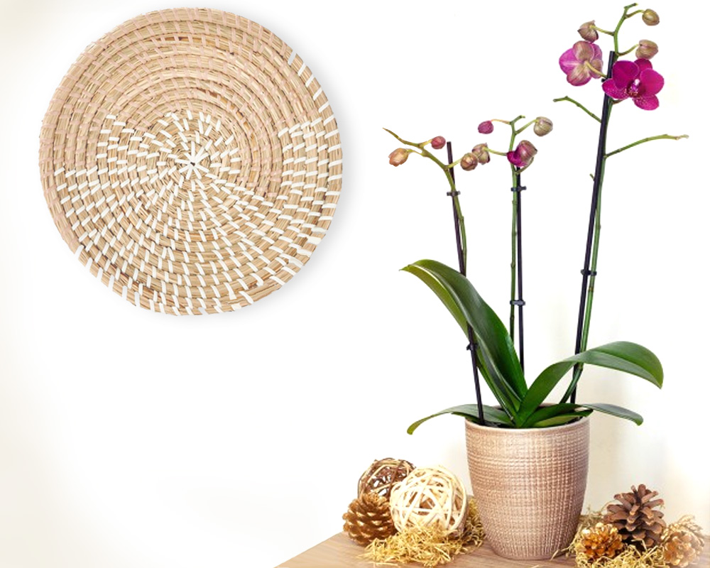 Vaso per Orchidea Corteza Cannella D15cm in Ceramica - immagine 2