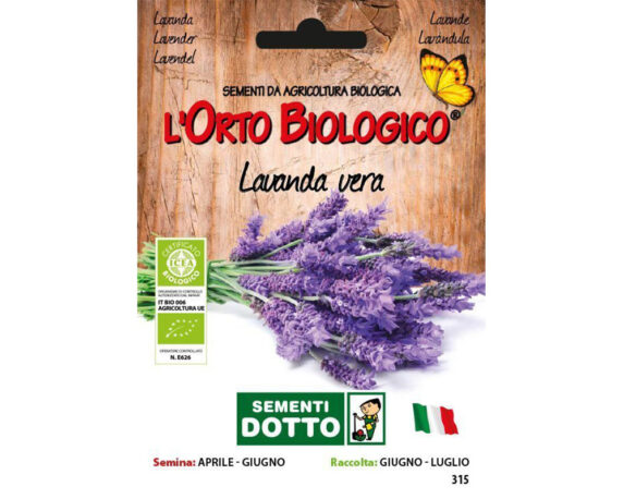 Lavanda vera