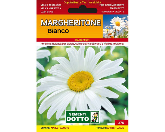 Margheritone bianco
