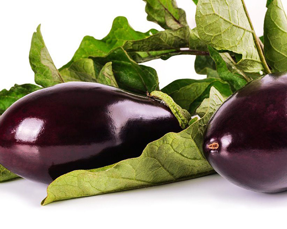 Melanzana nera minipack - immagine 3