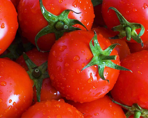 Pomodoro optima tondo liscio - immagine 3