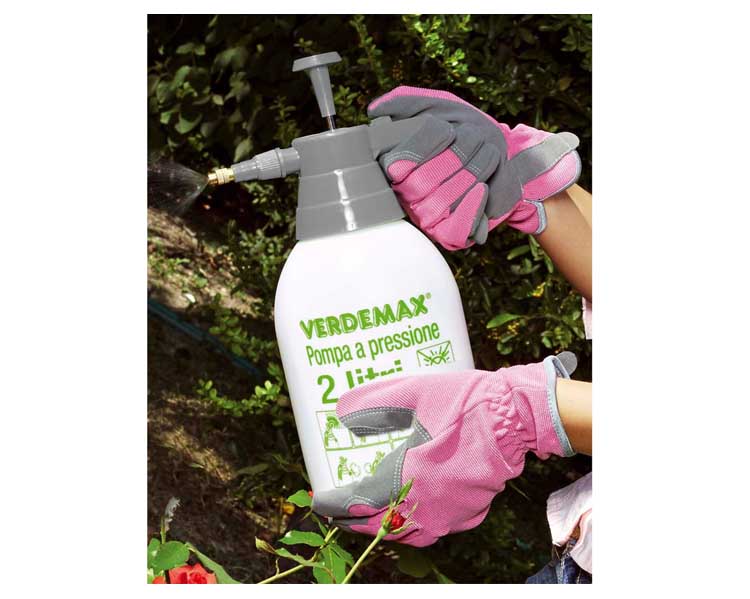 Pompa a Pressione Professionale 2L - immagine 2