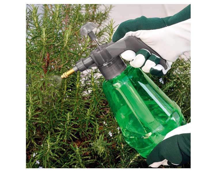 Pompa a Pressione 1,5L Verde - immagine 2