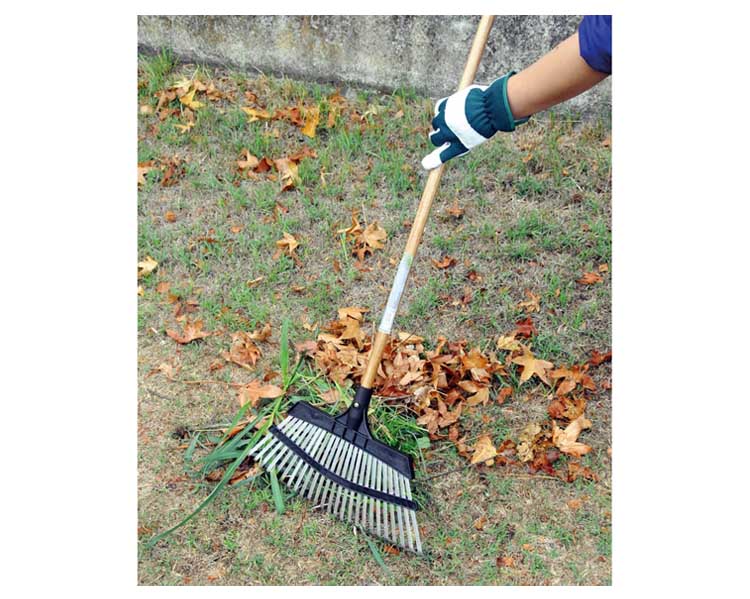 Scopa per Erbe e Foglie con Manico in Legno e Acciaio - immagine 2
