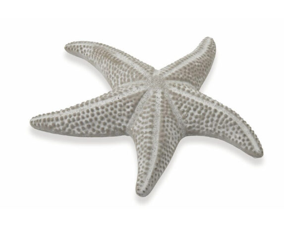 stella marina decorativa in terracotta c rilievi decorazioni grigio villa deste galileo 1.jpg1 1