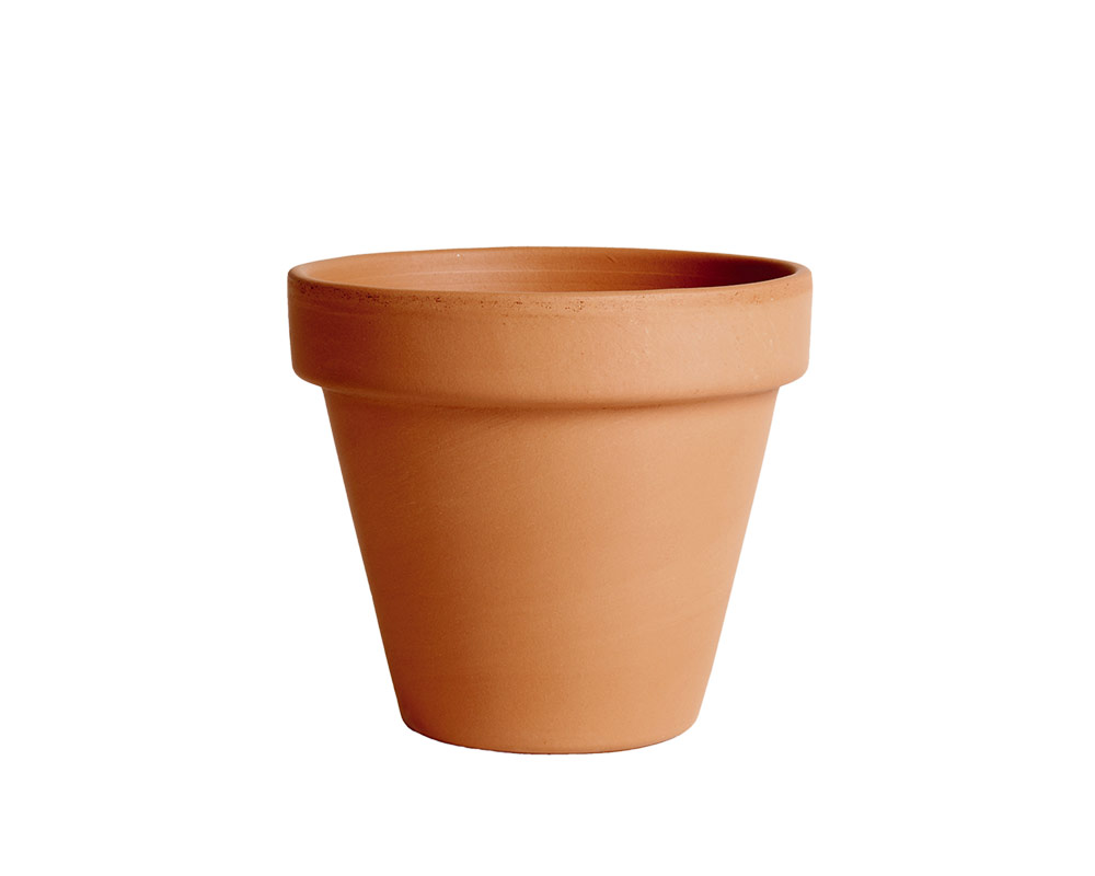 vaso terracotta classica standard 15cm corino bruna degrea vasi e coprivaso giardinaggio