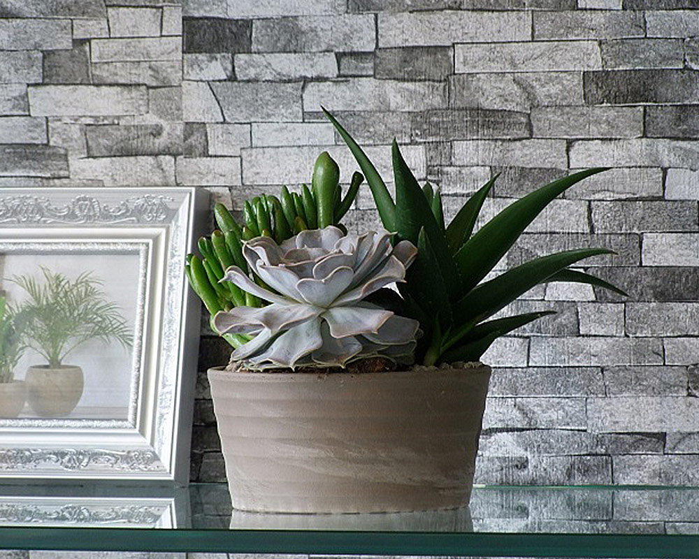 Ciotola Schale Umbra Grigio D22cm in Terracotta - immagine 2