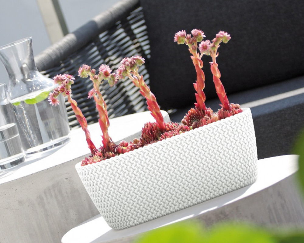 Cassetta splofy large bianco - immagine 2