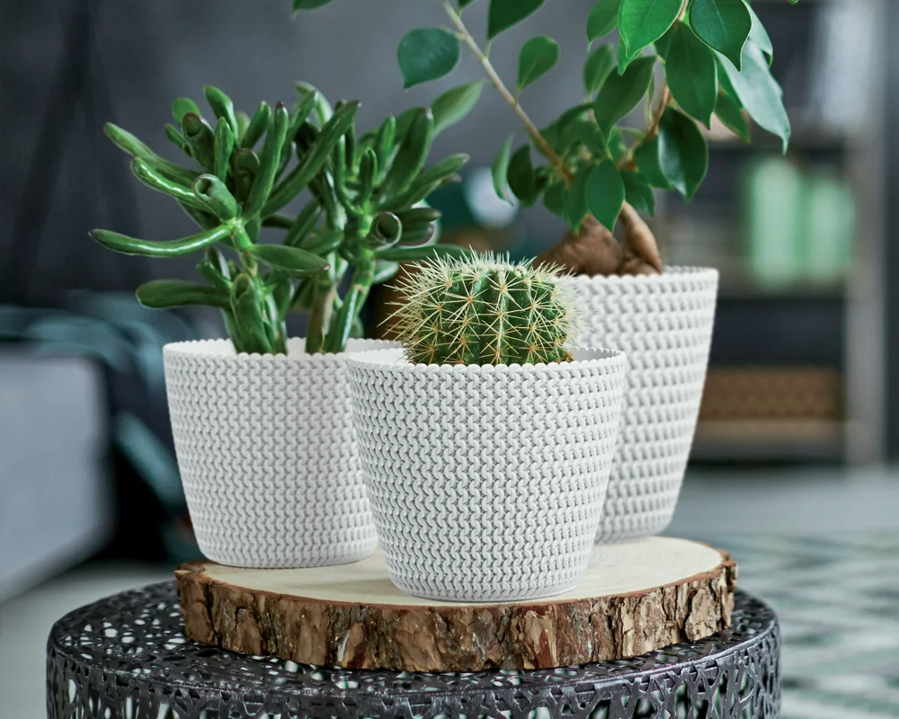 Ciotola Splofy Bianco D24x12cm in Plastica - immagine 2