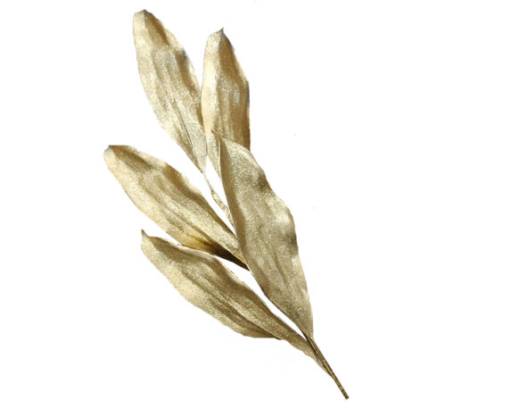 Ramo aspidistra dorato