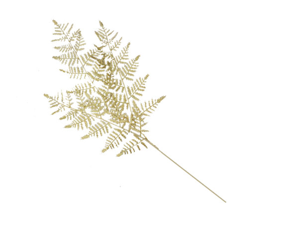Ramo felce dorato
