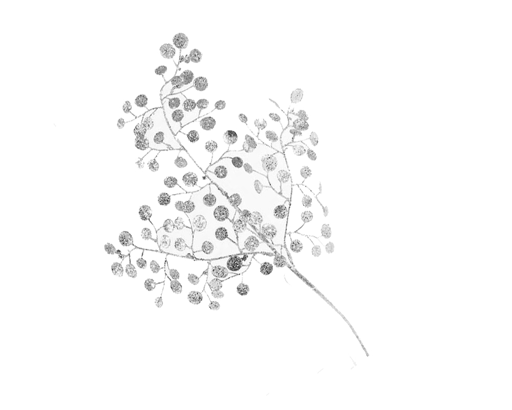 Ramo lunaria glitter argento