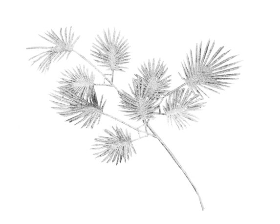 Ramo glitter aralia small argento