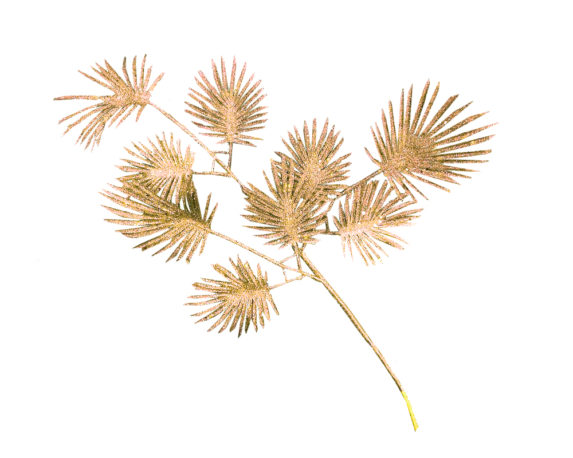 Ramo glitter aralia small dorato