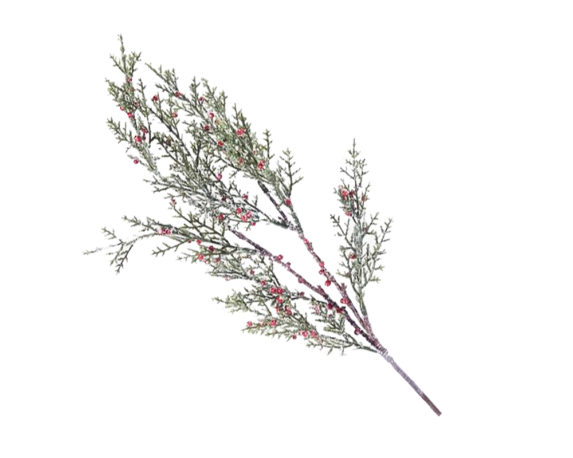 Ramo pino c-bacche rosse