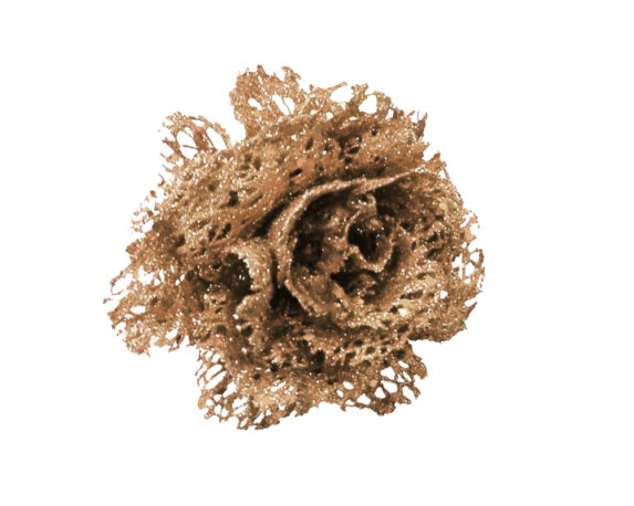 Rosa rete clip glitter champagne