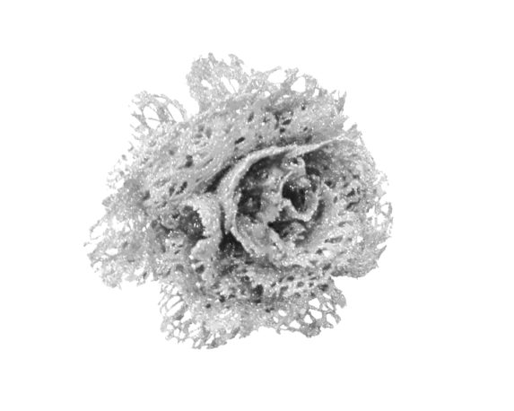 Rosa rete clip glitter bianco