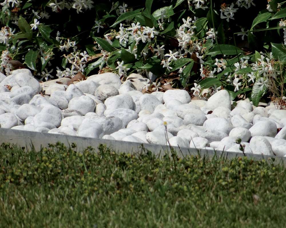 Sacco Ciotolo Bianco Carrara da 25kg D2,5/4cm in Marmo - immagine 3