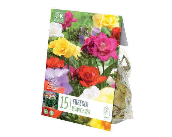 X15 Bulbo Freesia Double Mix Color (Fresia) – Kapiteyn