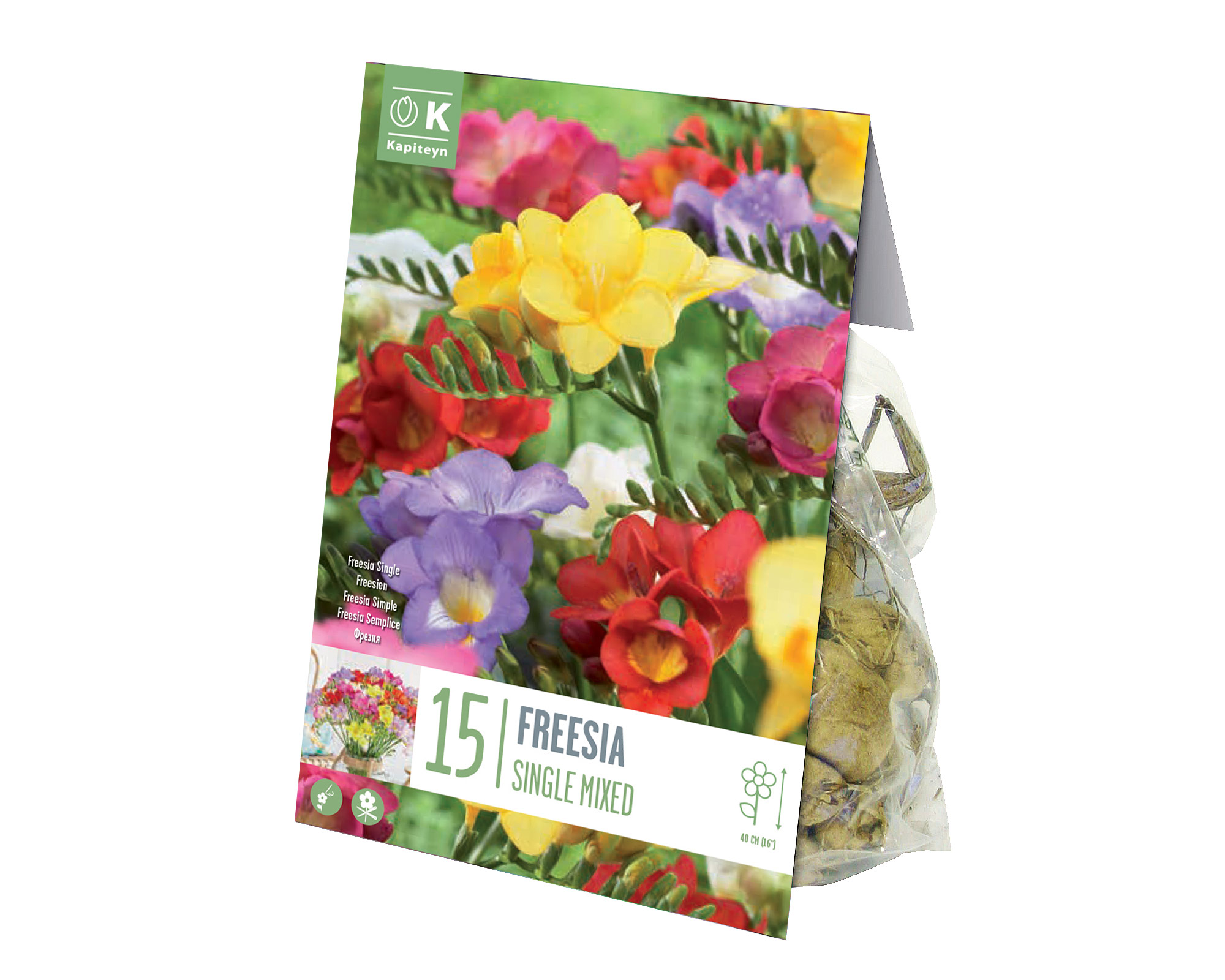 X15 Bulbo Fresia Single Mix Color (Fresia) - Kapiteyn