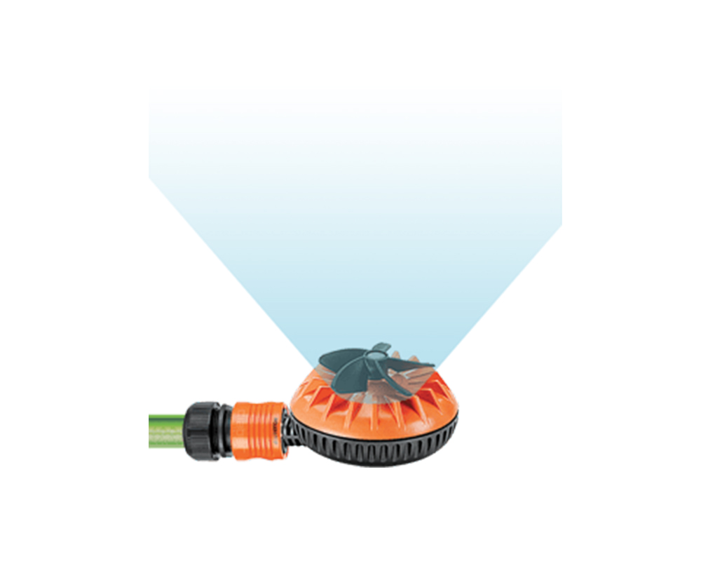 Rollina Blister - immagine 3