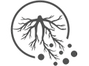 Terriccio per agrumi e mediterranee 50lt - Compo 5 icon
